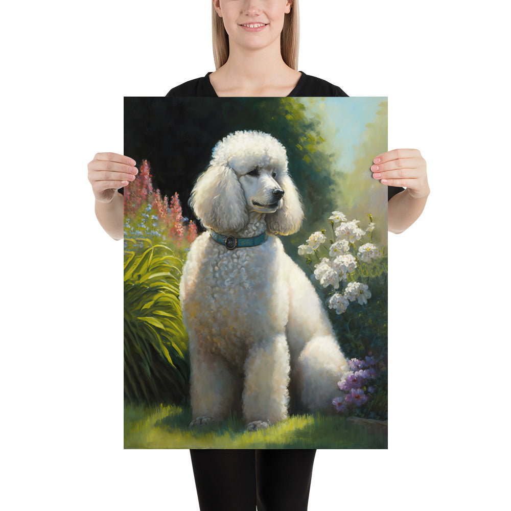 Poodle Fine Art Print | 005